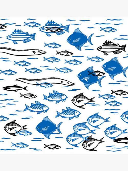 Black Fish Blue Fish