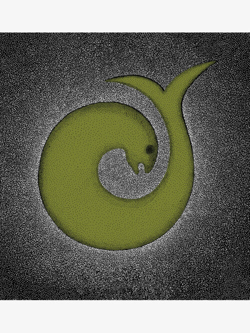 The Unborn Fish Card