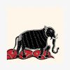 Elephants Cards