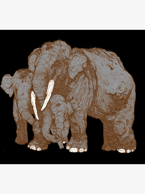Forest Encounters: Elephants (brown)