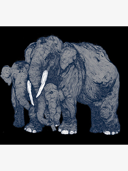 Forest Encounters: Elephants (grey)