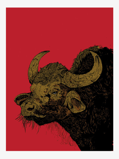 Forest Encounters: Gaur
