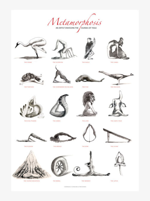 Metamorphosis Poster