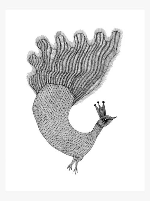 Peacock with Fiery Tail