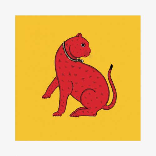 Slow Cat