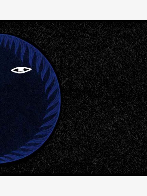The Moon at Night