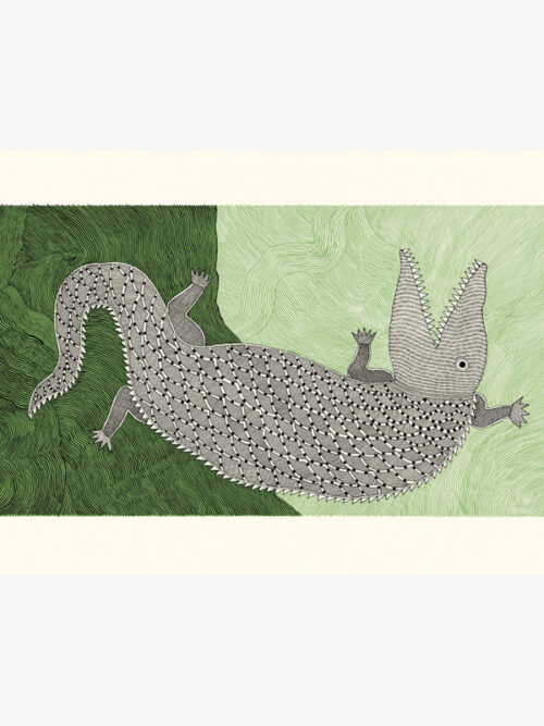 Crocodile