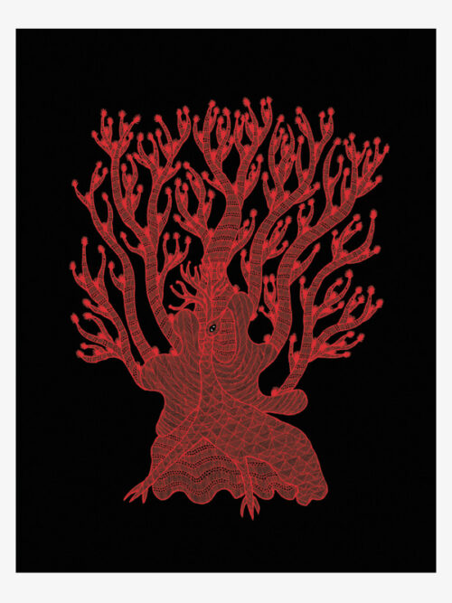 The Peacock