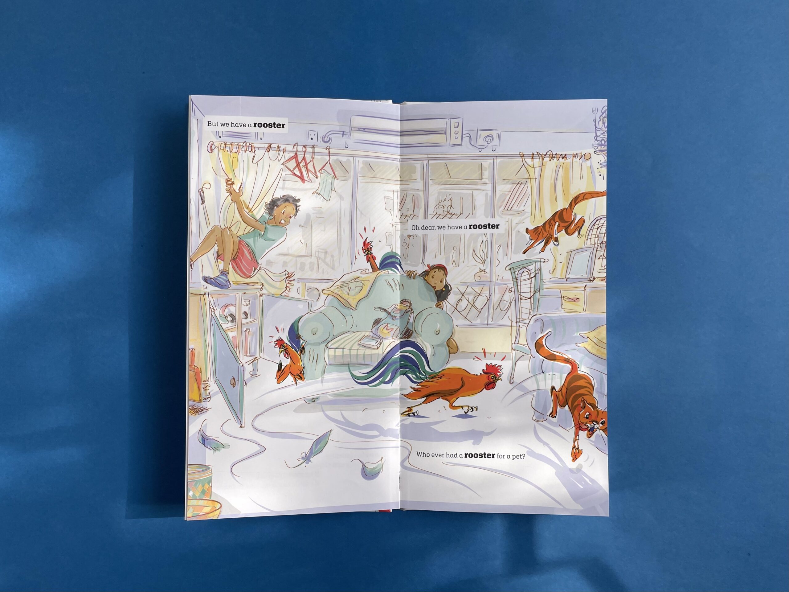 A Rooster for a Pet? - Image 2