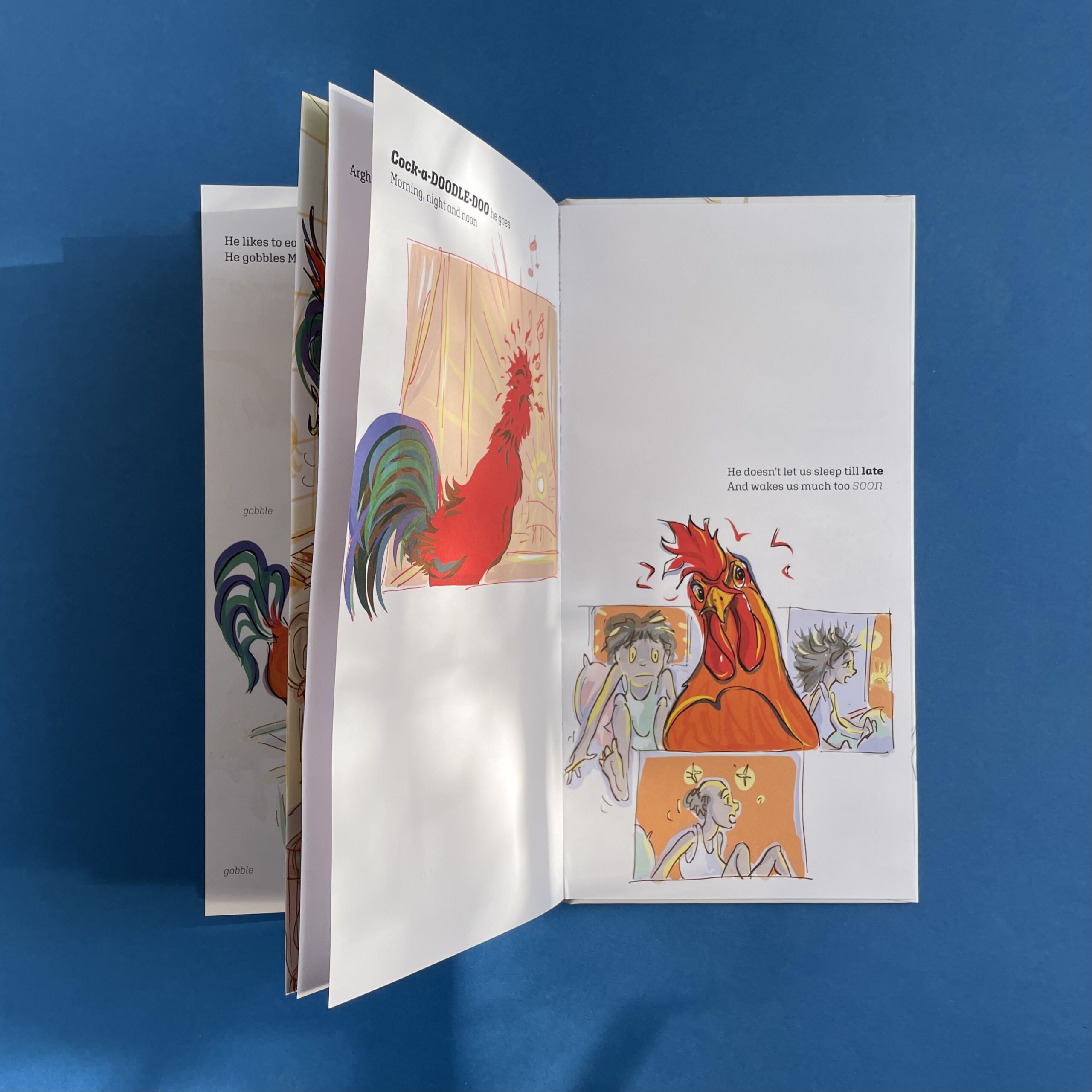 A Rooster for a Pet? - Image 4