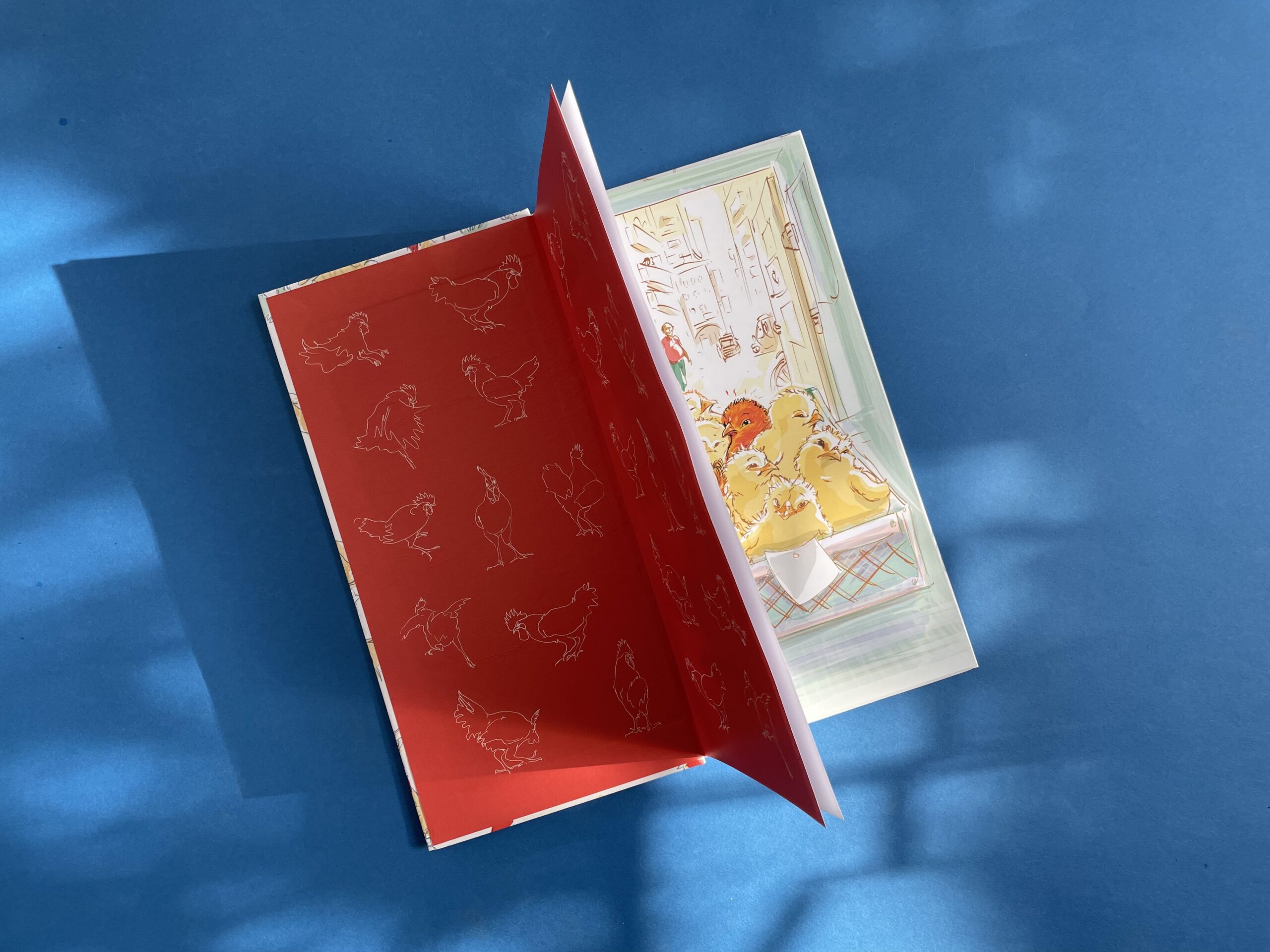 A Rooster for a Pet? - Image 6