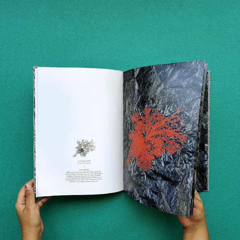 A Stitch Out of Time - Image 5