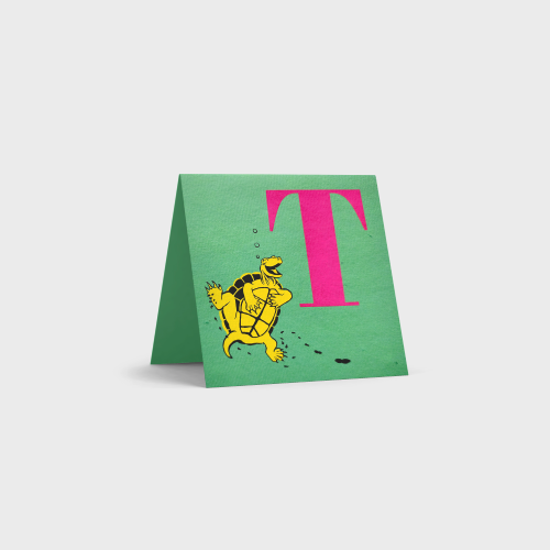T for Turtle