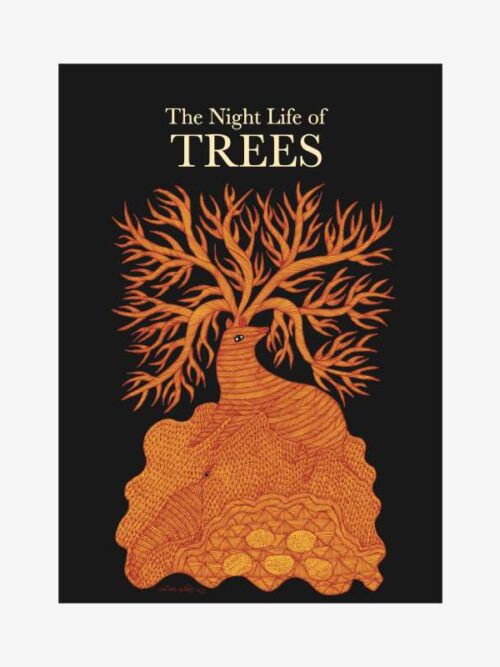 The Night Life of Trees
