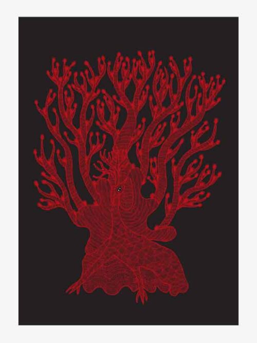 The Peacock Card