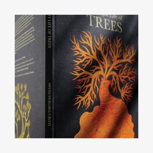 The Night Life of Trees (Korean)