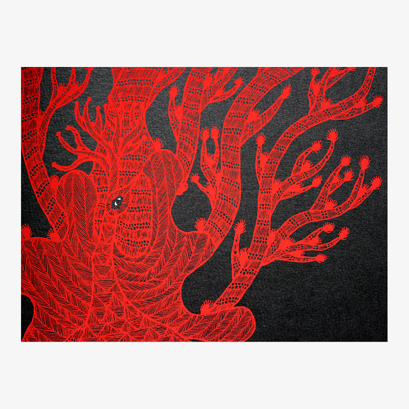 The Night Life of Trees (French) - Image 6