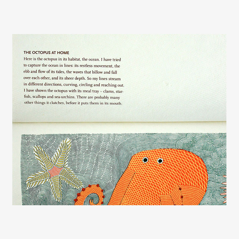 Waterlife (Italian) - Image 2